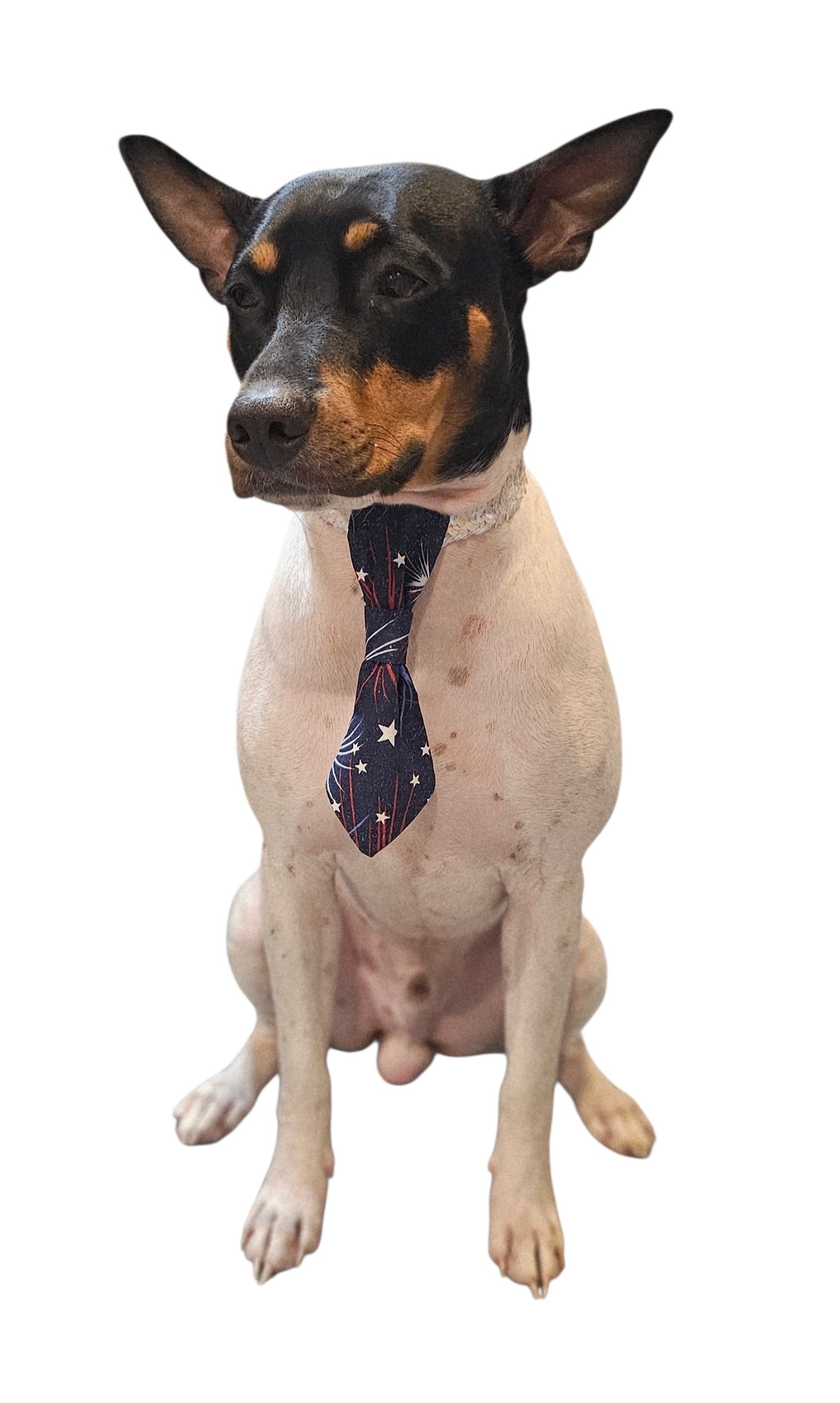 Patriotic Pet Tie and cuffs, Tie and cuffs for pets