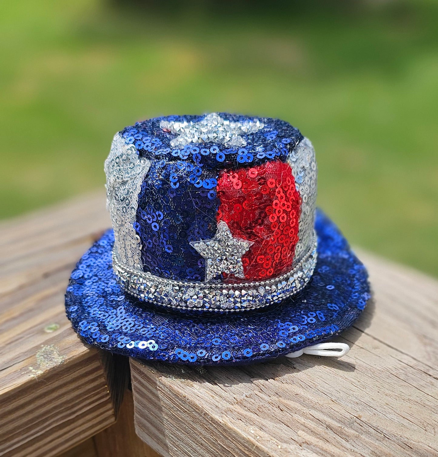 July 4th pet hat, 4th of July pet glasses, Independence day pet hat, July 4th pet hat, July 4th dog hat, July 4th dog glasses, pet hat