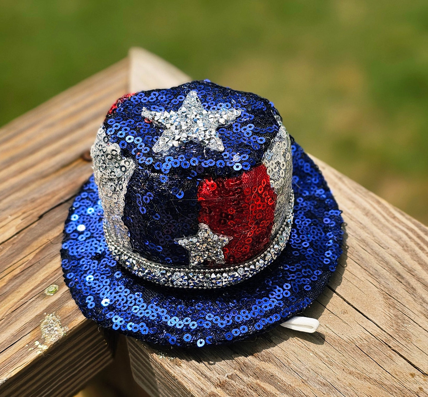 July 4th pet hat, 4th of July pet glasses, Independence day pet hat, July 4th pet hat, July 4th dog hat, July 4th dog glasses, pet hat