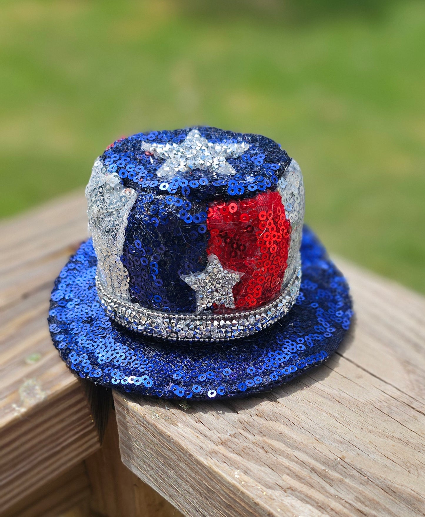 July 4th pet hat, 4th of July pet glasses, Independence day pet hat, July 4th pet hat, July 4th dog hat, July 4th dog glasses, pet hat
