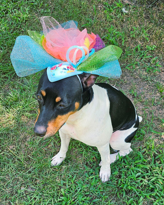 Kentucky Derby pet fasunator hat, derby pet hat