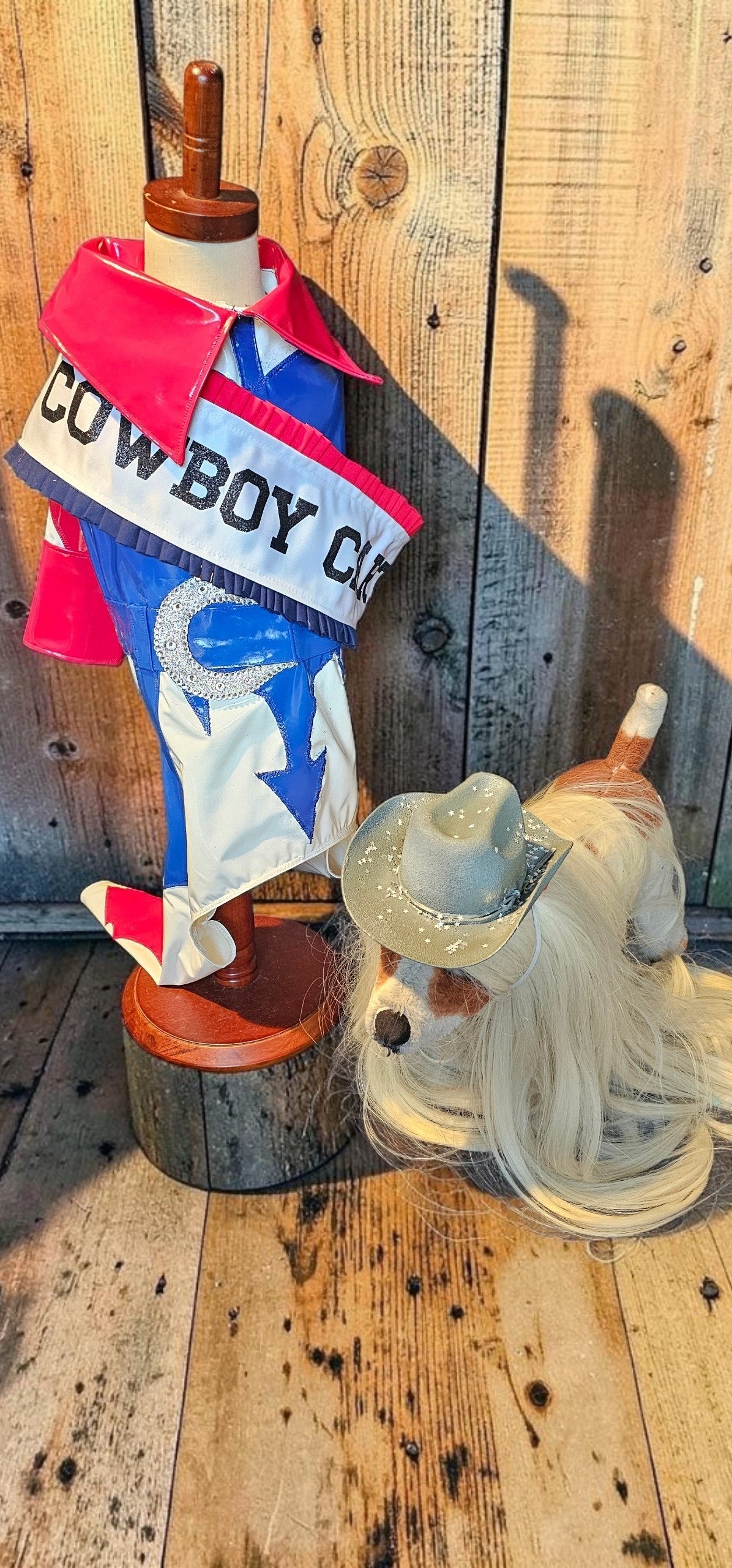Beyonce pet costume, Beyonce dog costume, Cowboy carter pet costume
