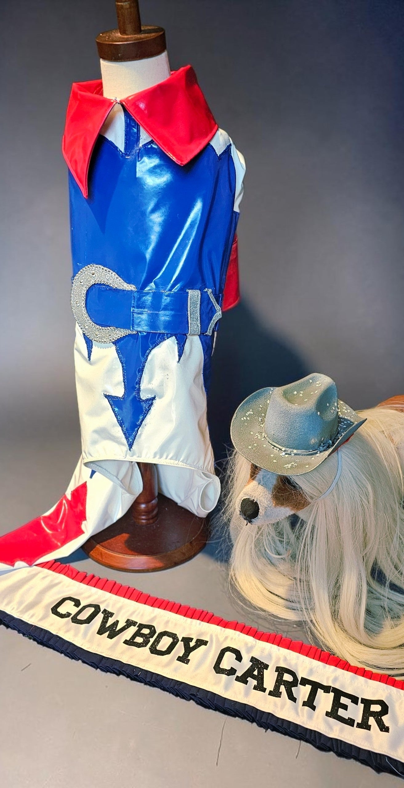 Beyonce pet costume, Beyonce dog costume, Cowboy carter pet costume