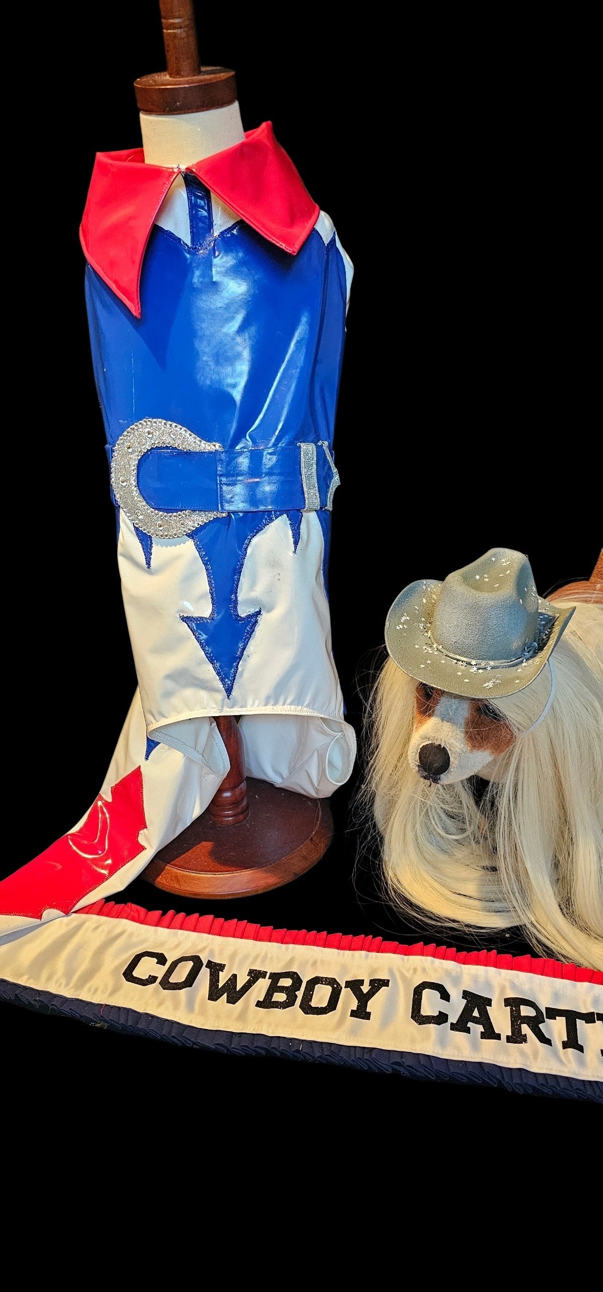 Beyonce pet costume, Beyonce dog costume, Cowboy carter pet costume
