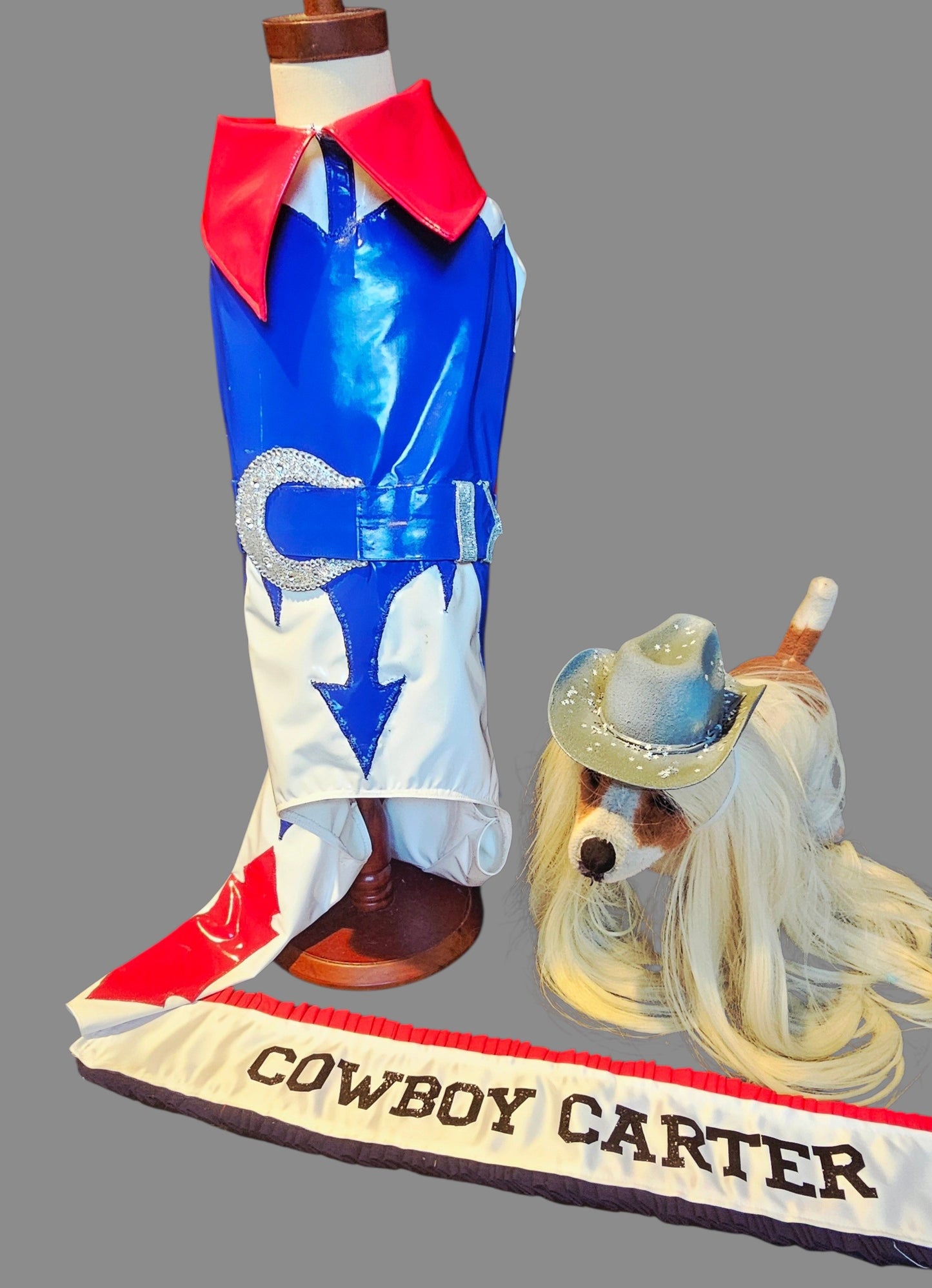Beyonce pet costume, Beyonce dog costume, Cowboy carter pet costume