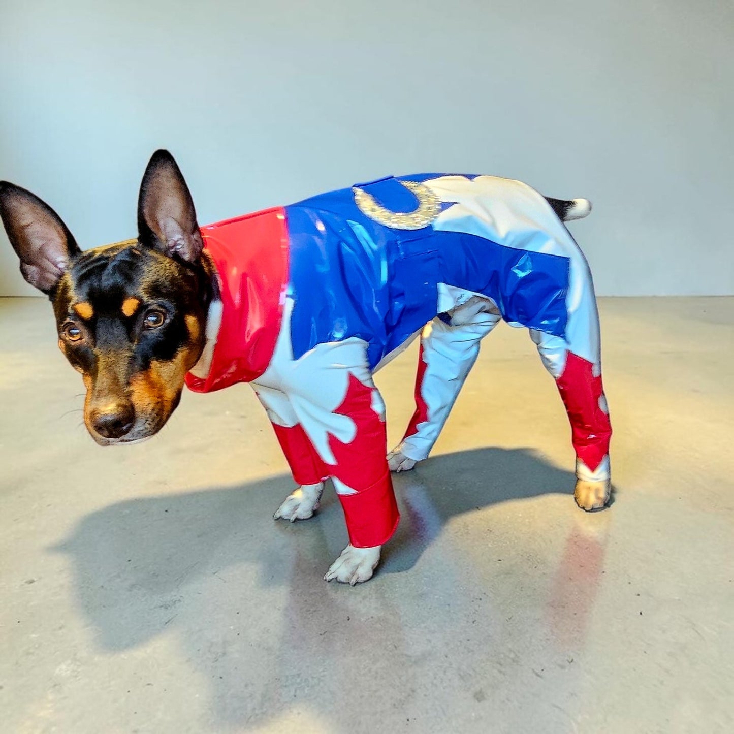 Beyonce pet costume, Beyonce dog costume, Cowboy carter pet costume