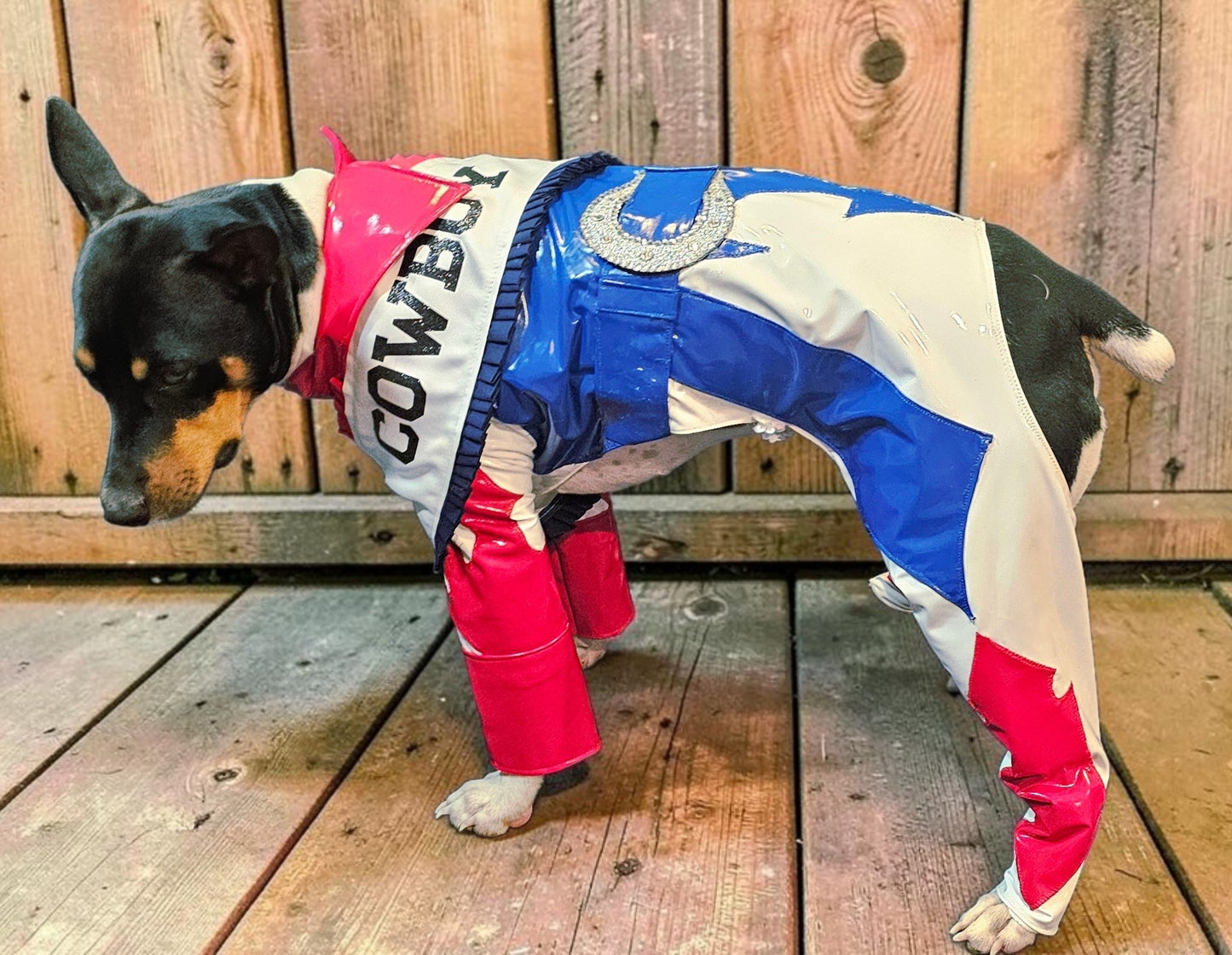 Beyonce pet costume, Beyonce dog costume, Cowboy carter pet costume