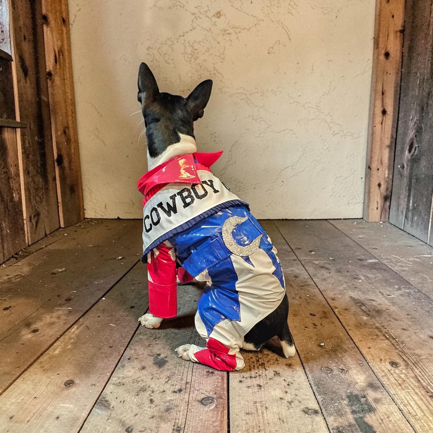 Beyonce pet costume, Beyonce dog costume, Cowboy carter pet costume