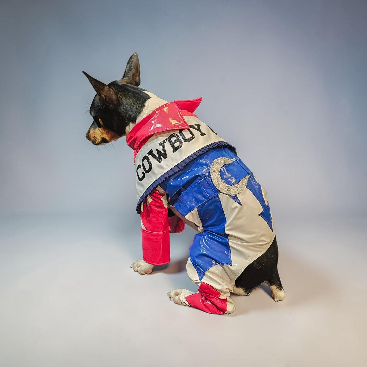 Beyonce pet costume, Beyonce dog costume, Cowboy carter pet costume