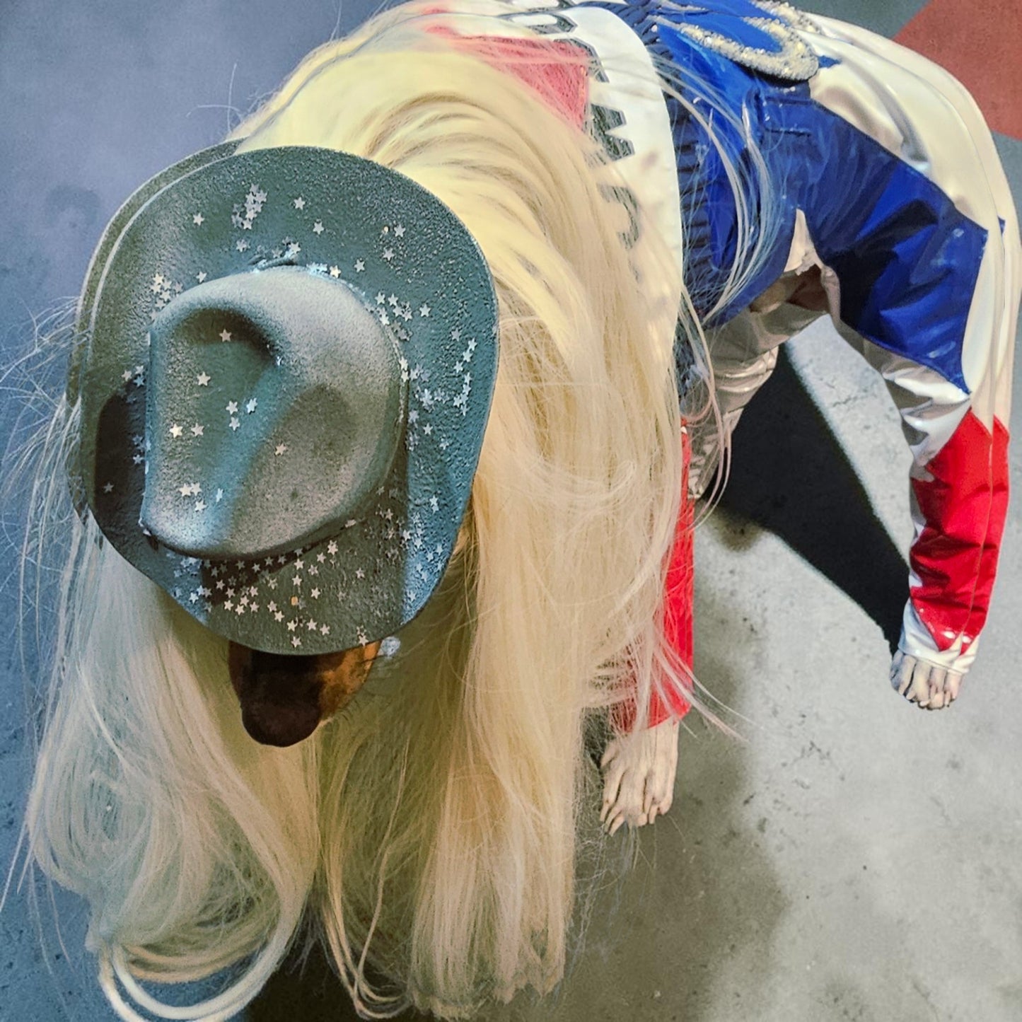 Beyonce pet costume, Beyonce dog costume, Cowboy carter pet costume