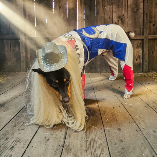 Beyonce pet costume, Beyonce dog costume, Cowboy carter pet costume