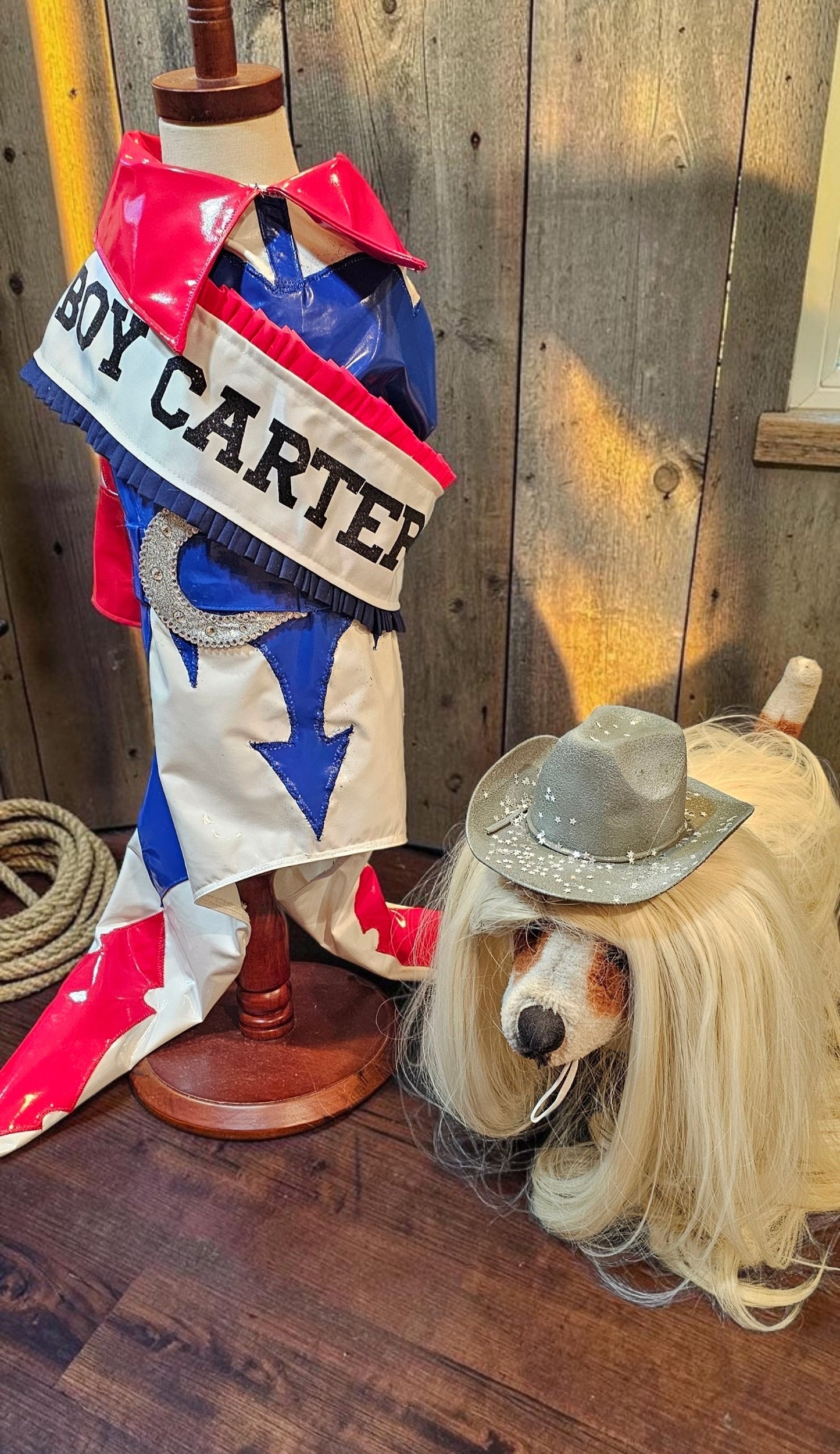Beyonce pet costume, Beyonce dog costume, Cowboy carter pet costume
