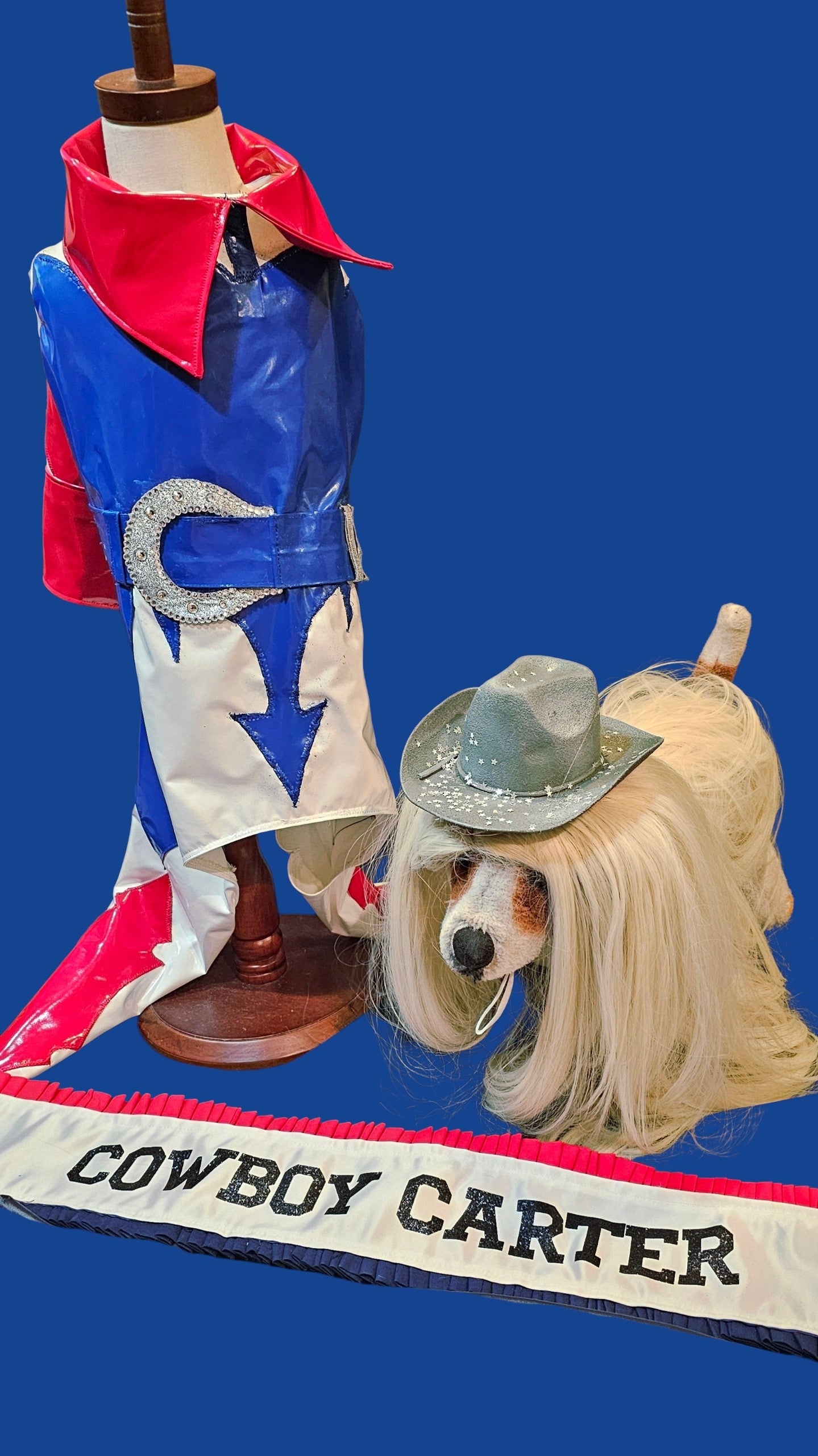 Beyonce pet costume, Beyonce dog costume, Cowboy carter pet costume