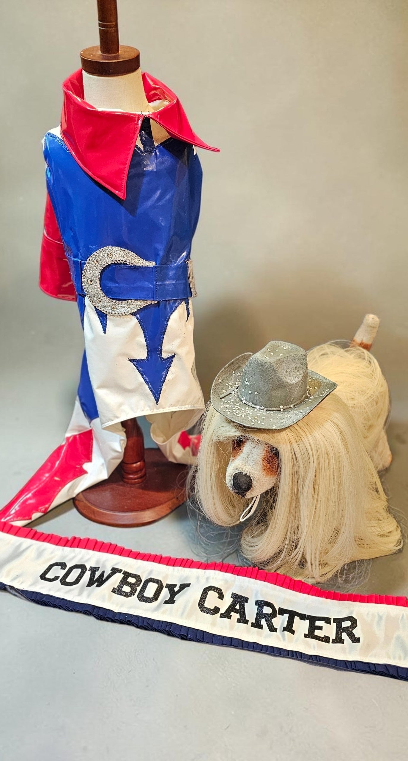 Beyonce pet costume, Beyonce dog costume, Cowboy carter pet costume