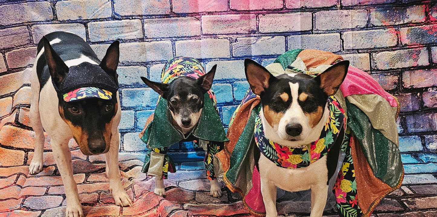 - Hawaiian pet costume, Hawaiian sequin dog costume, Tropical pet costume