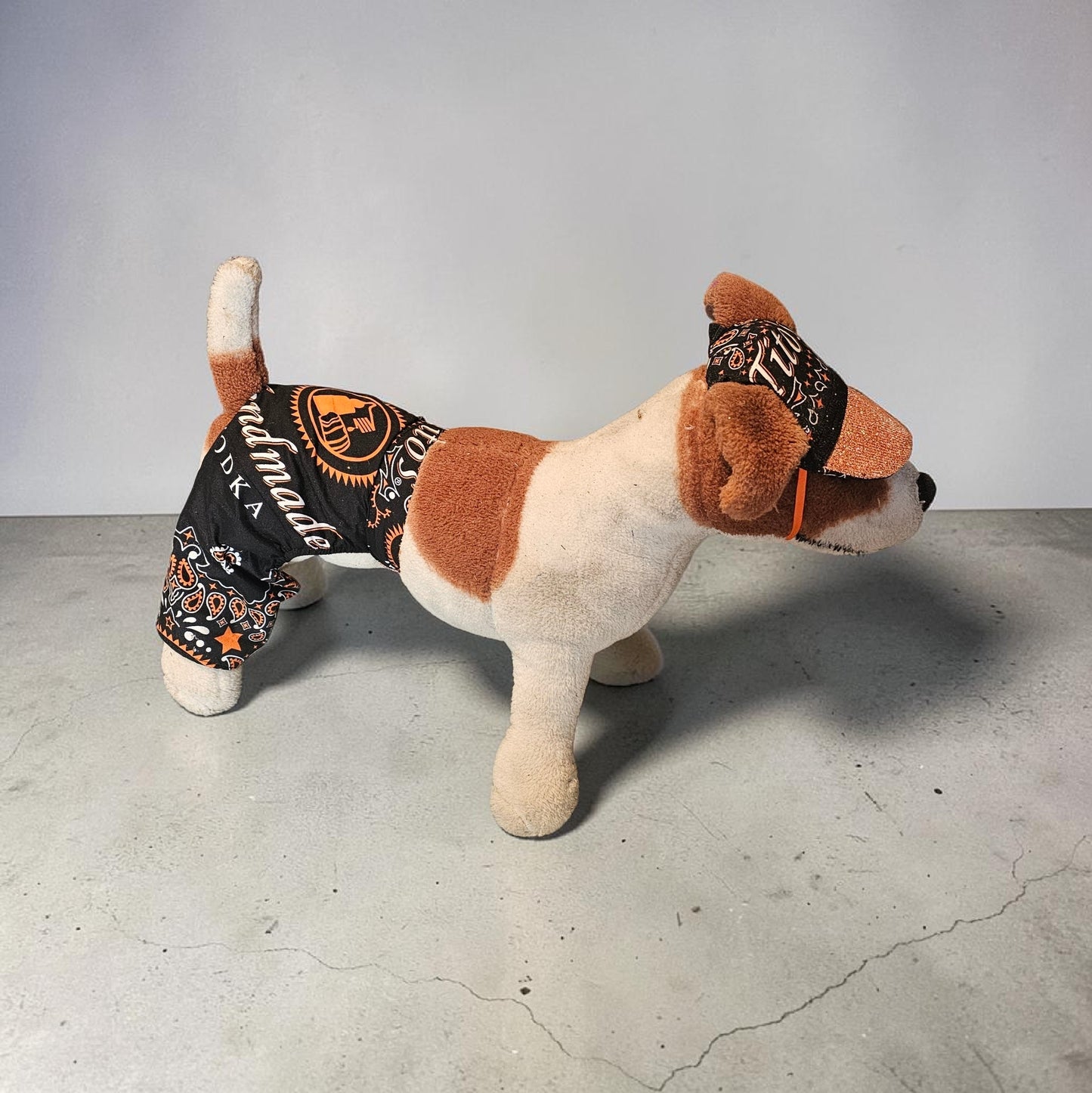Tito's pet swimming trucks, pet bathing suit, Tito's pet shorts