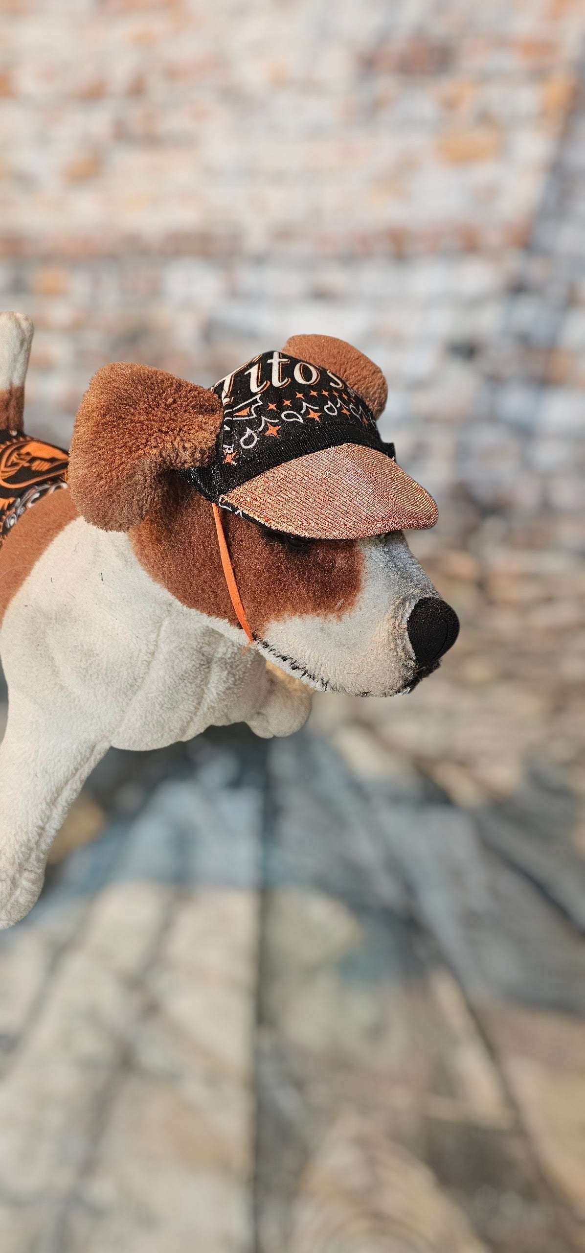 Tito's pet swimming trucks, pet bathing suit, Tito's pet shorts