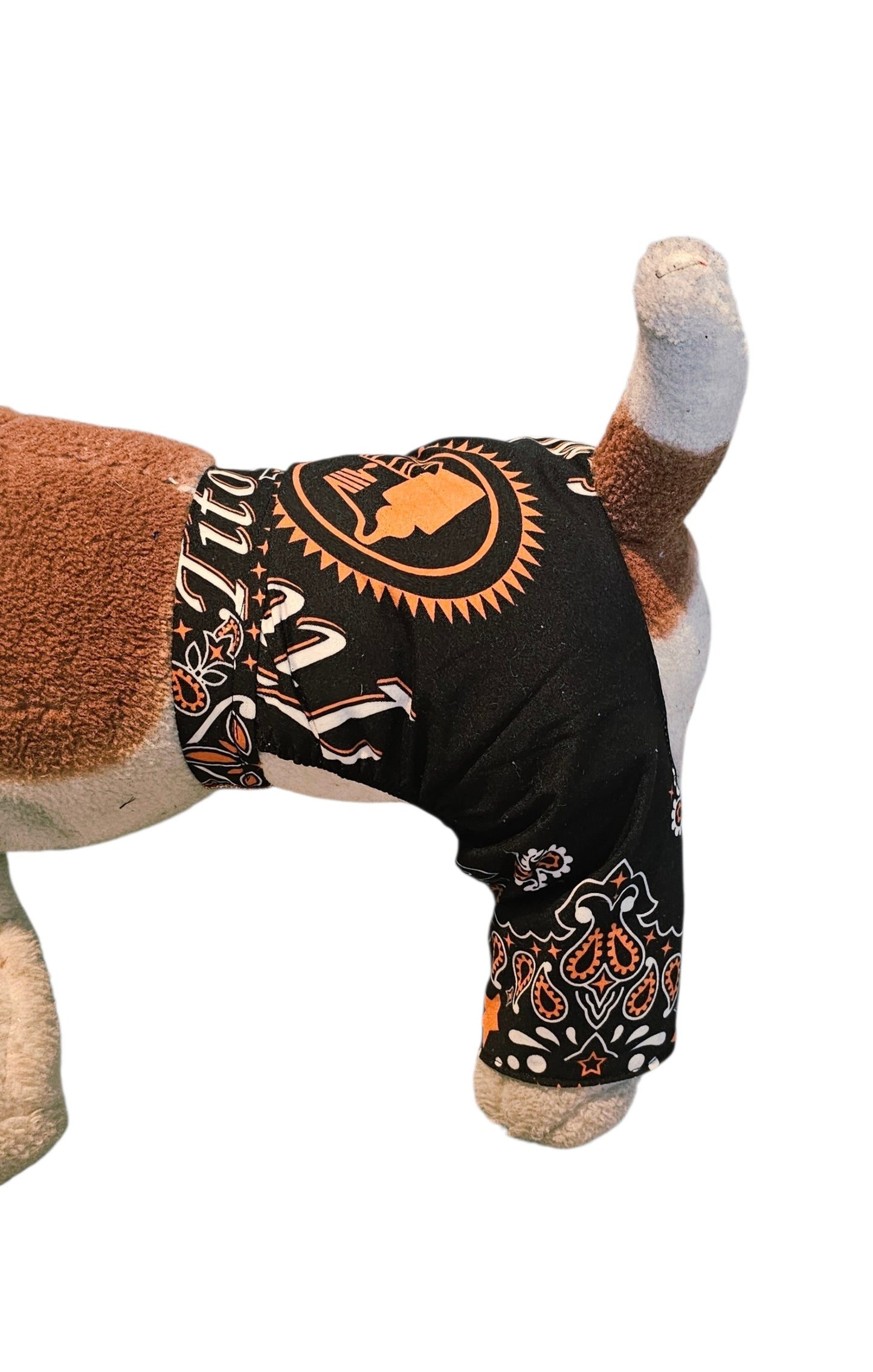 Tito's pet swimming trucks, pet bathing suit, Tito's pet shorts