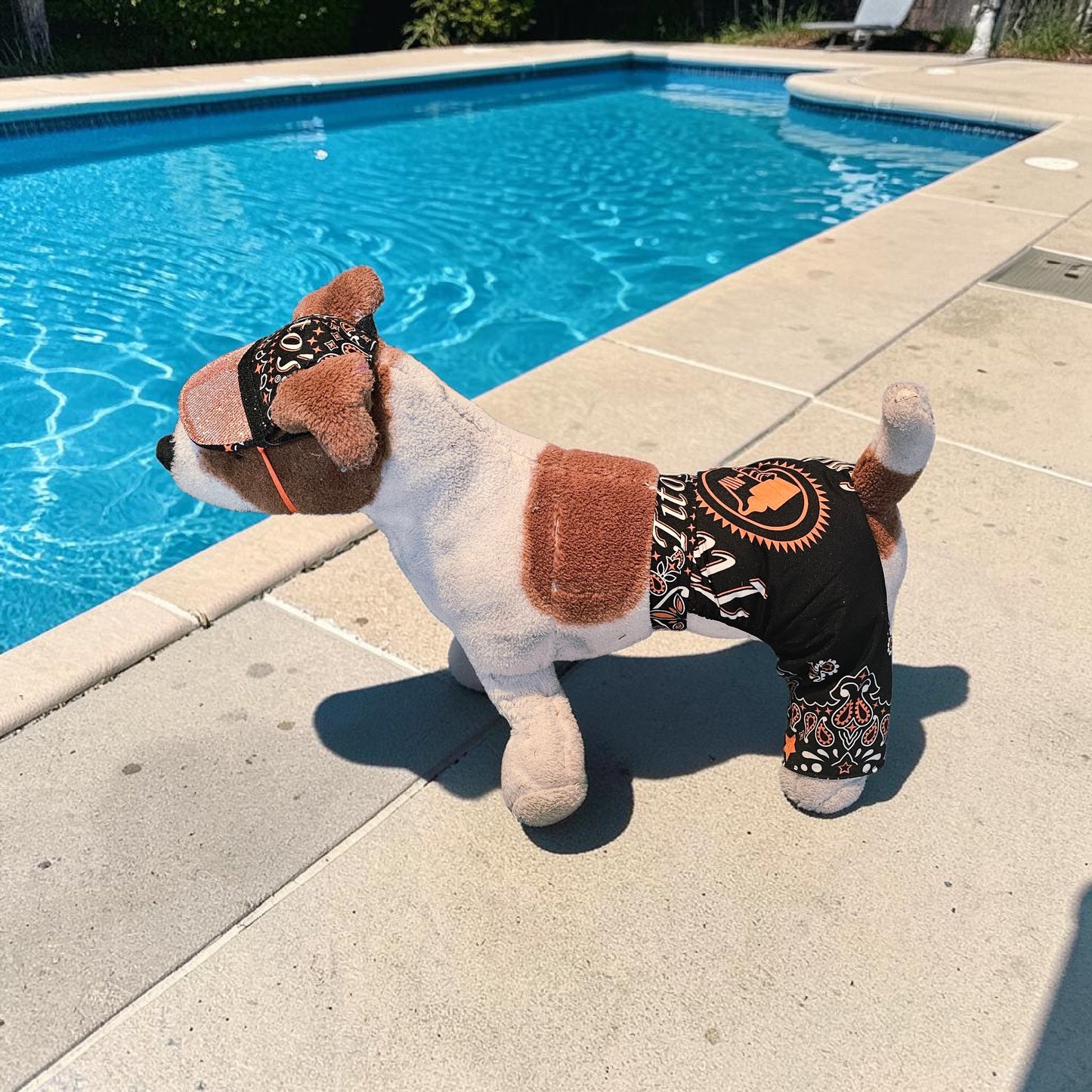 Tito's pet swimming trucks, pet bathing suit, Tito's pet shorts