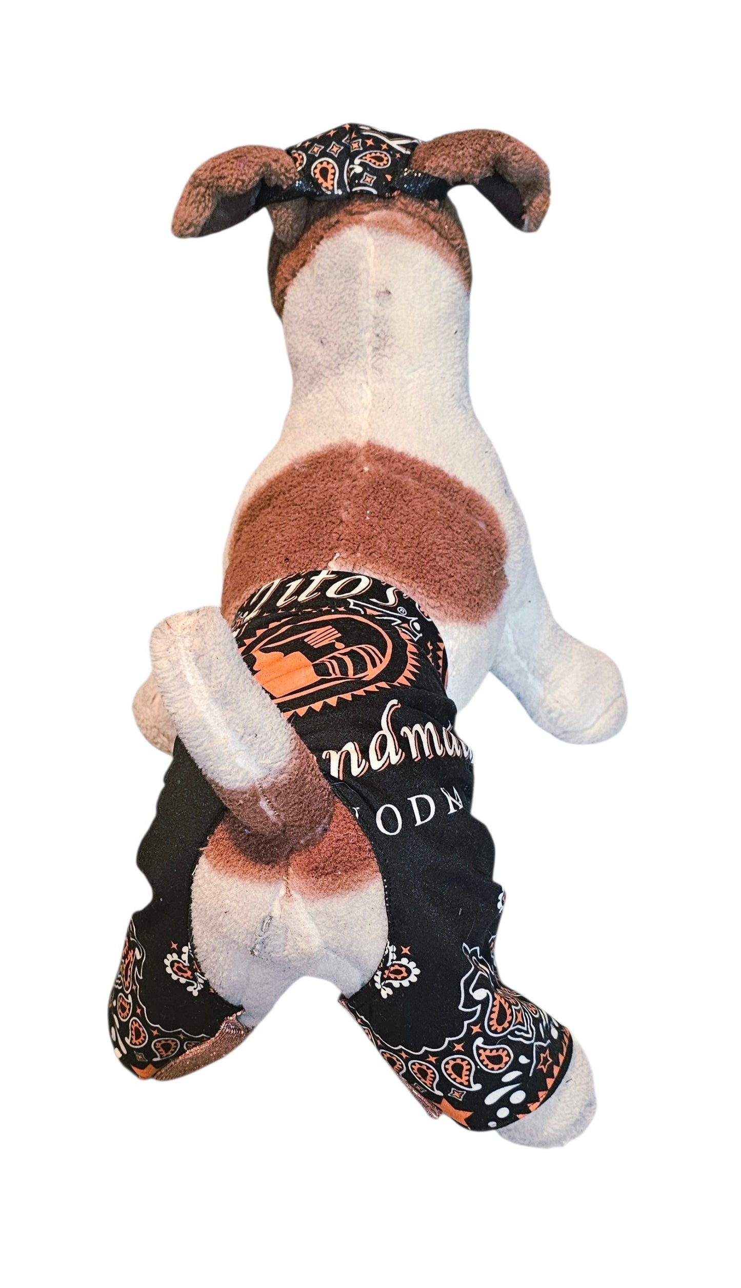 Tito's pet swimming trucks, pet bathing suit, Tito's pet shorts