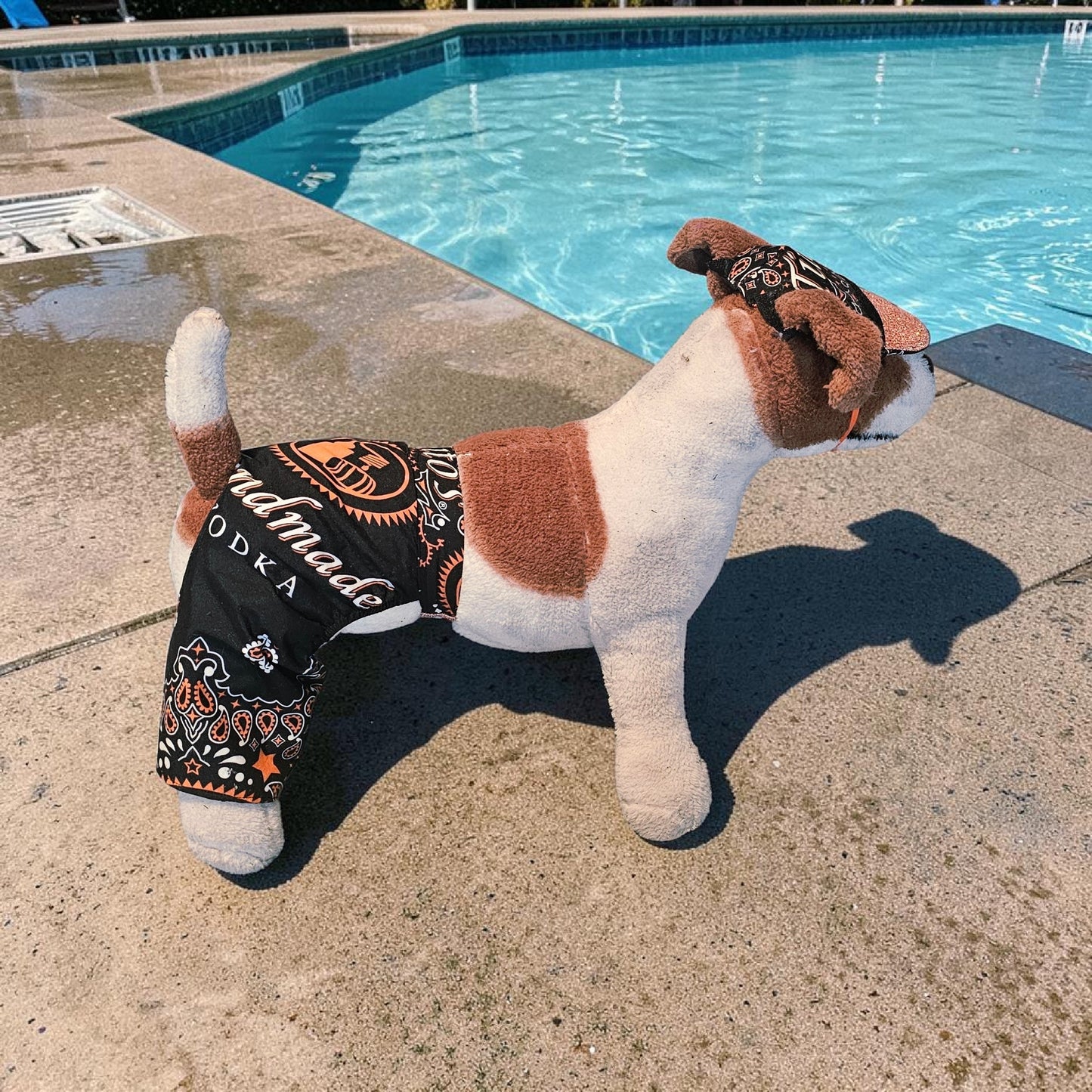 Tito's pet swimming trucks, pet bathing suit, Tito's pet shorts