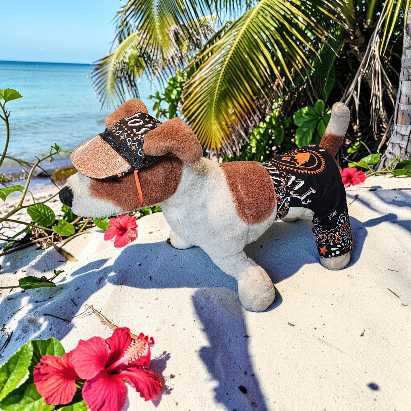 Tito's pet swimming trucks, pet bathing suit, Tito's pet shorts
