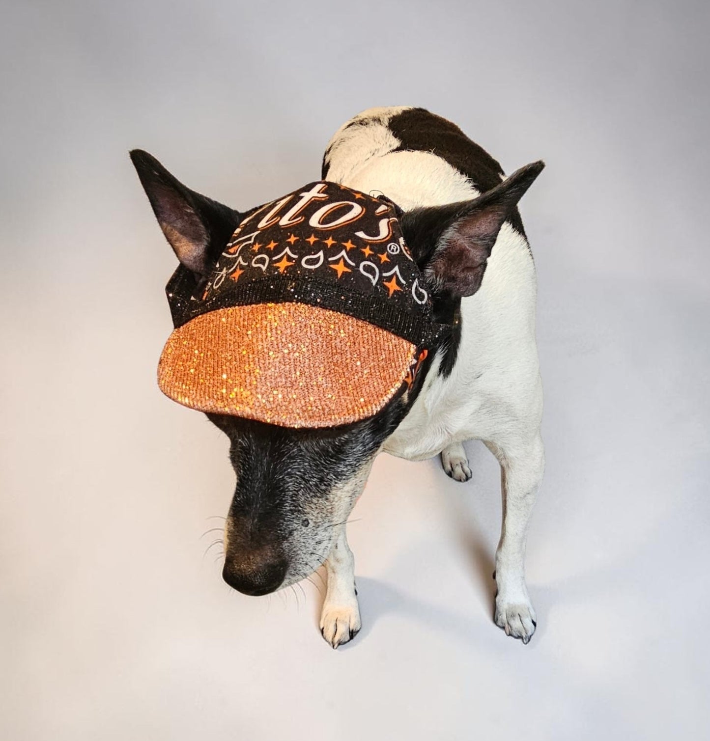 Titos glitter pet hat, dog glitter hat, titos pet hat