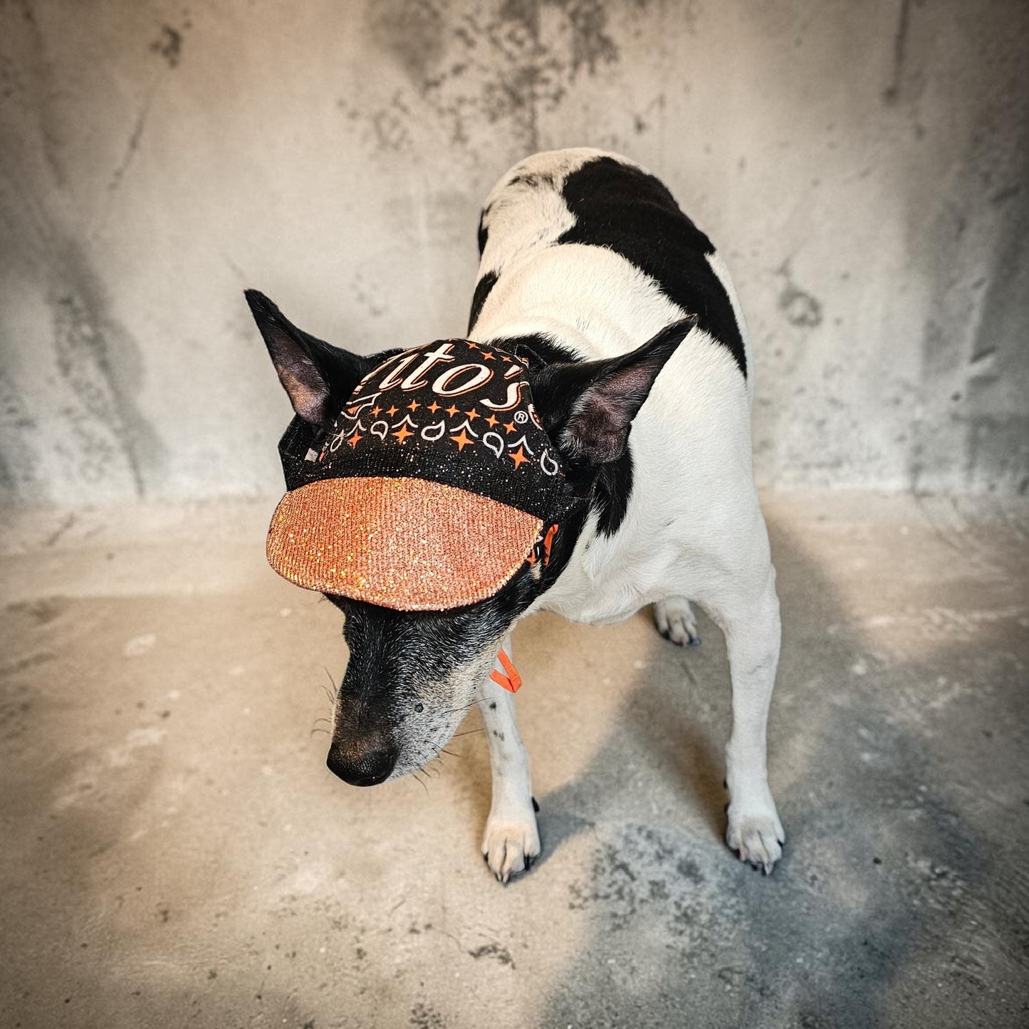 Titos glitter pet hat, dog glitter hat, titos pet hat