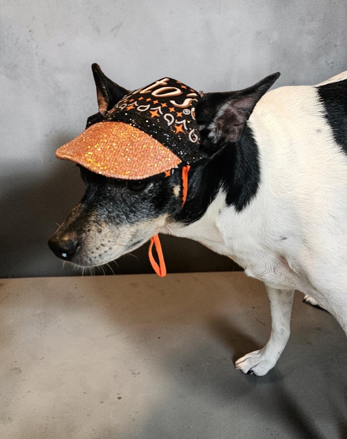Titos glitter pet hat, dog glitter hat, titos pet hat