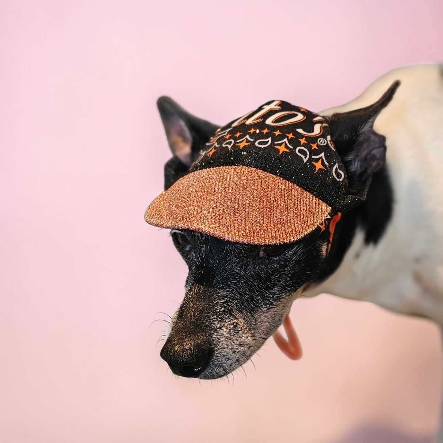 Titos glitter pet hat, dog glitter hat, titos pet hat
