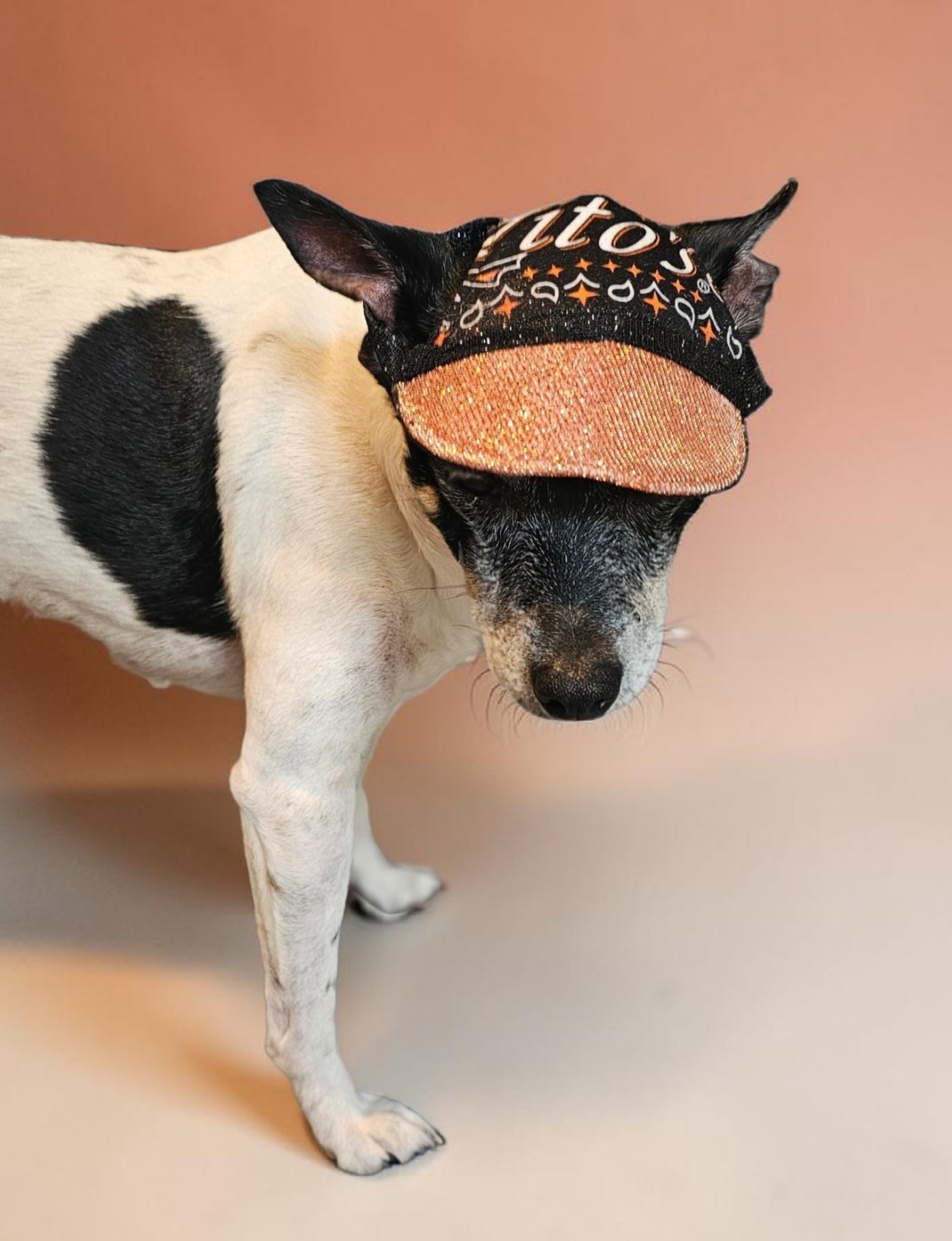 Titos glitter pet hat, dog glitter hat, titos pet hat
