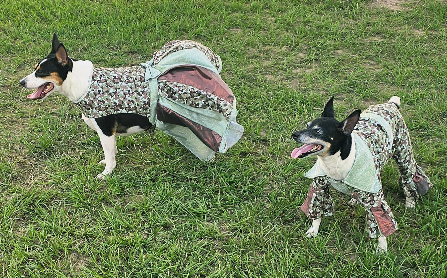 Camouflage pet body suit, Camouflage glitter pet costume, Camouflage dog suit, Camouflage cat costume, Camouflage pet hat