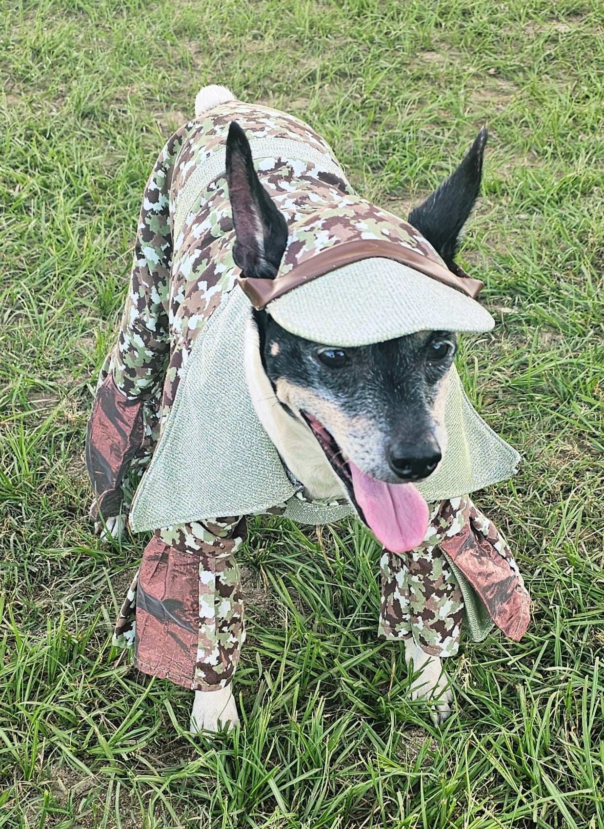 Camouflage pet body suit, Camouflage glitter pet costume, Camouflage dog suit, Camouflage cat costume, Camouflage pet hat