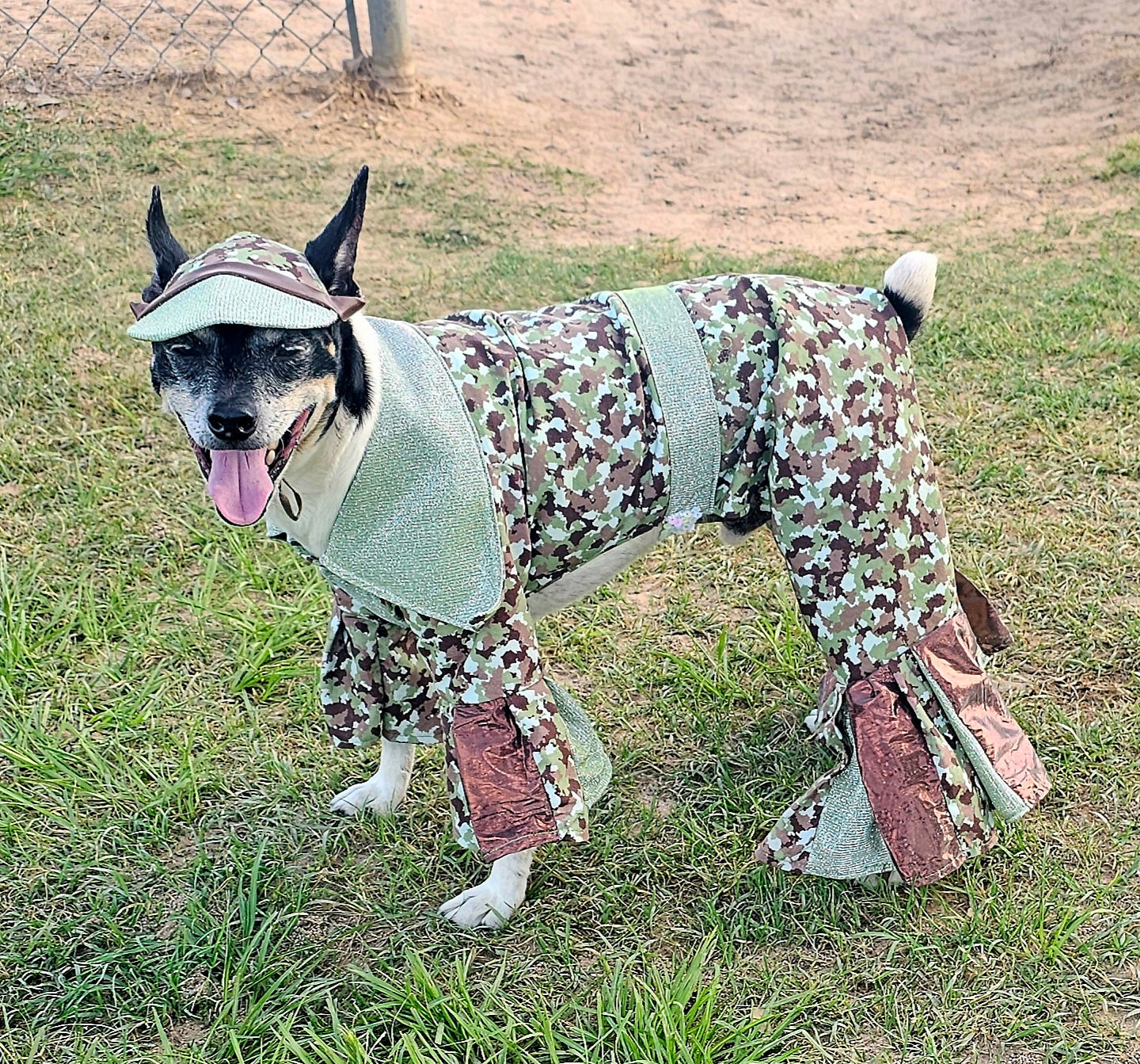 Camouflage pet body suit, Camouflage glitter pet costume, Camouflage dog suit, Camouflage cat costume, Camouflage pet hat