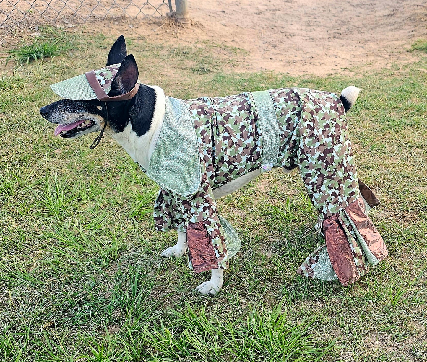 Camouflage pet body suit, Camouflage glitter pet costume, Camouflage dog suit, Camouflage cat costume, Camouflage pet hat