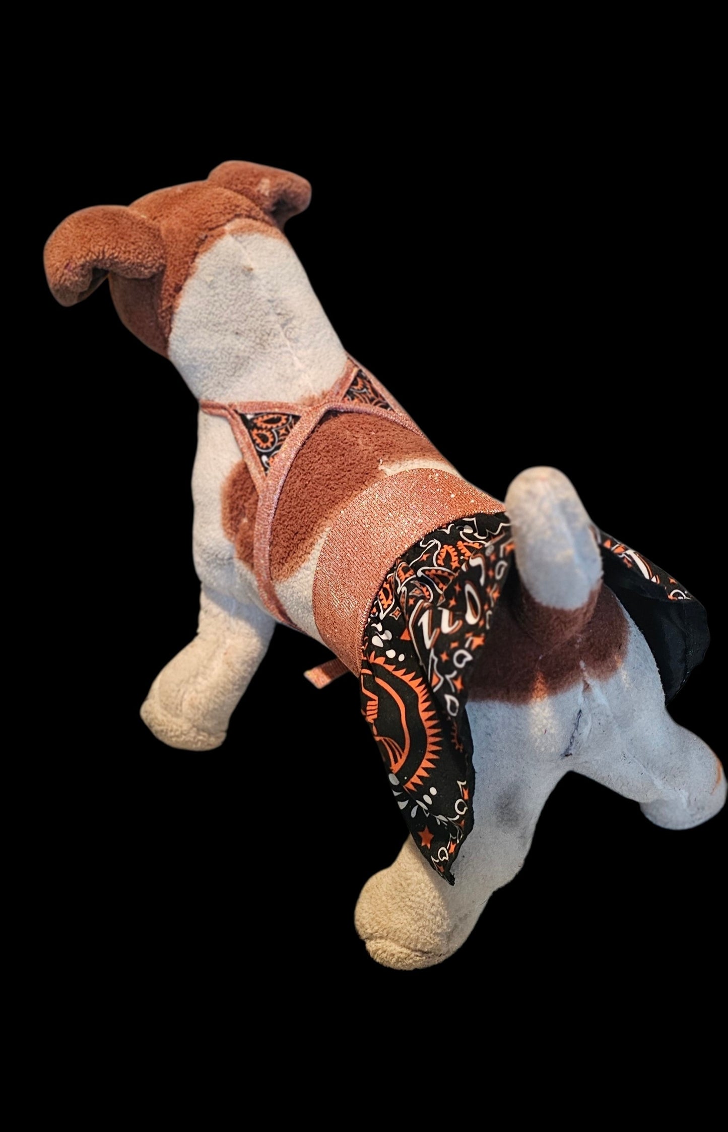 Tito's pet bathing suit, custom pet bathing suit, dog swimsuit
