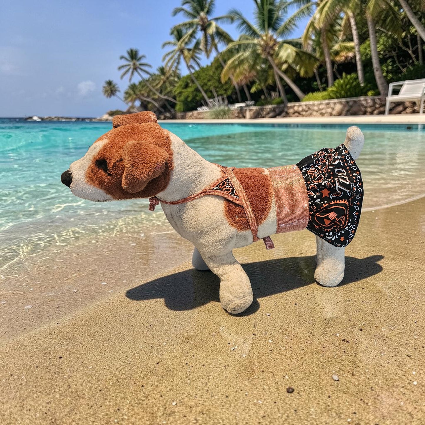 Tito's pet bathing suit, custom pet bathing suit, dog swimsuit