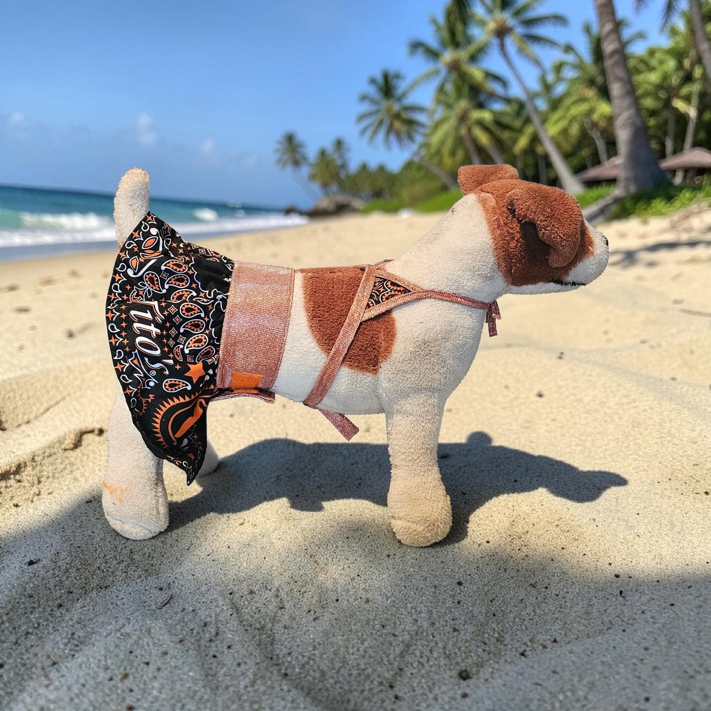 Tito's pet bathing suit, custom pet bathing suit, dog swimsuit