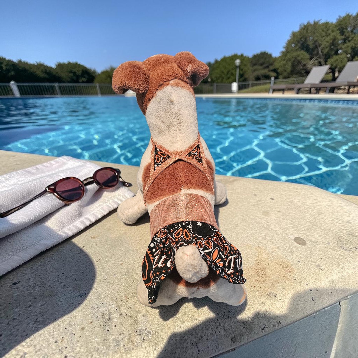 Tito's pet bathing suit, custom pet bathing suit, dog swimsuit