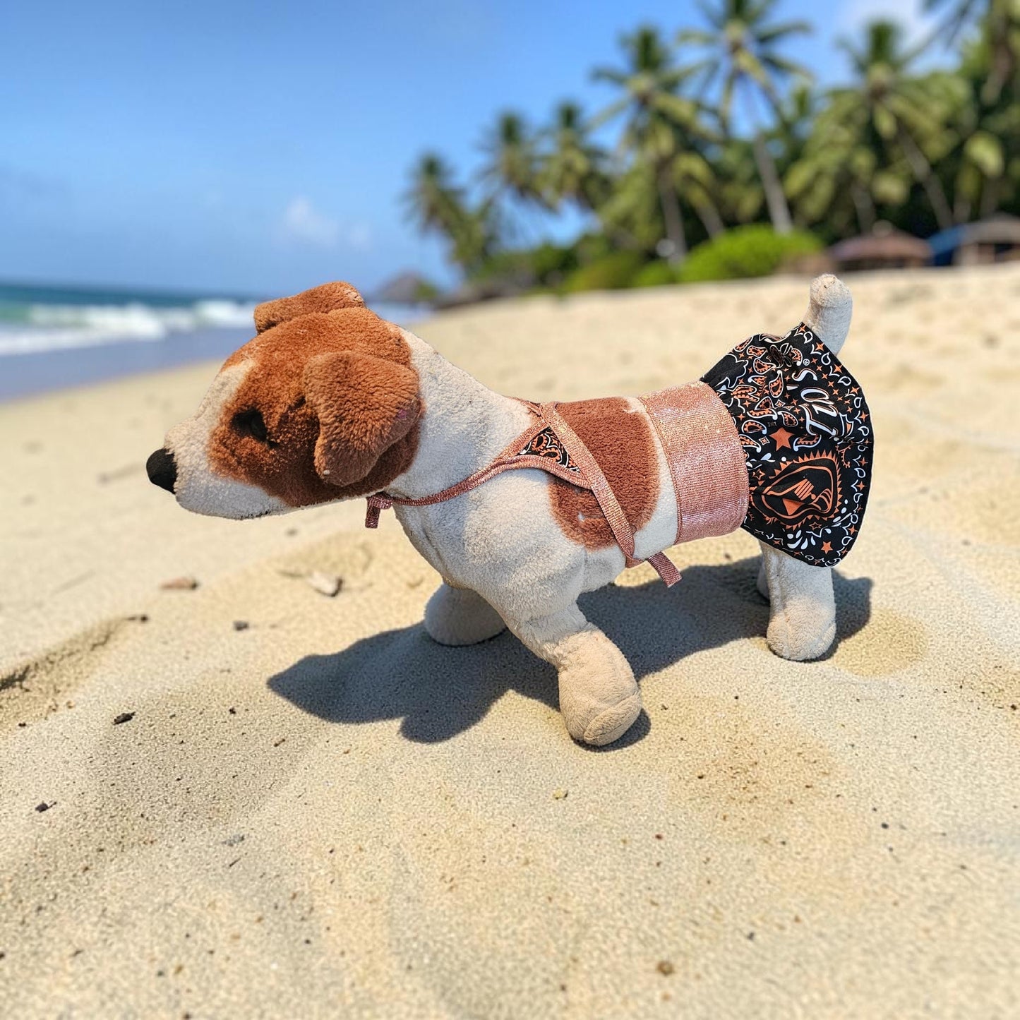 Tito's pet bathing suit, custom pet bathing suit, dog swimsuit