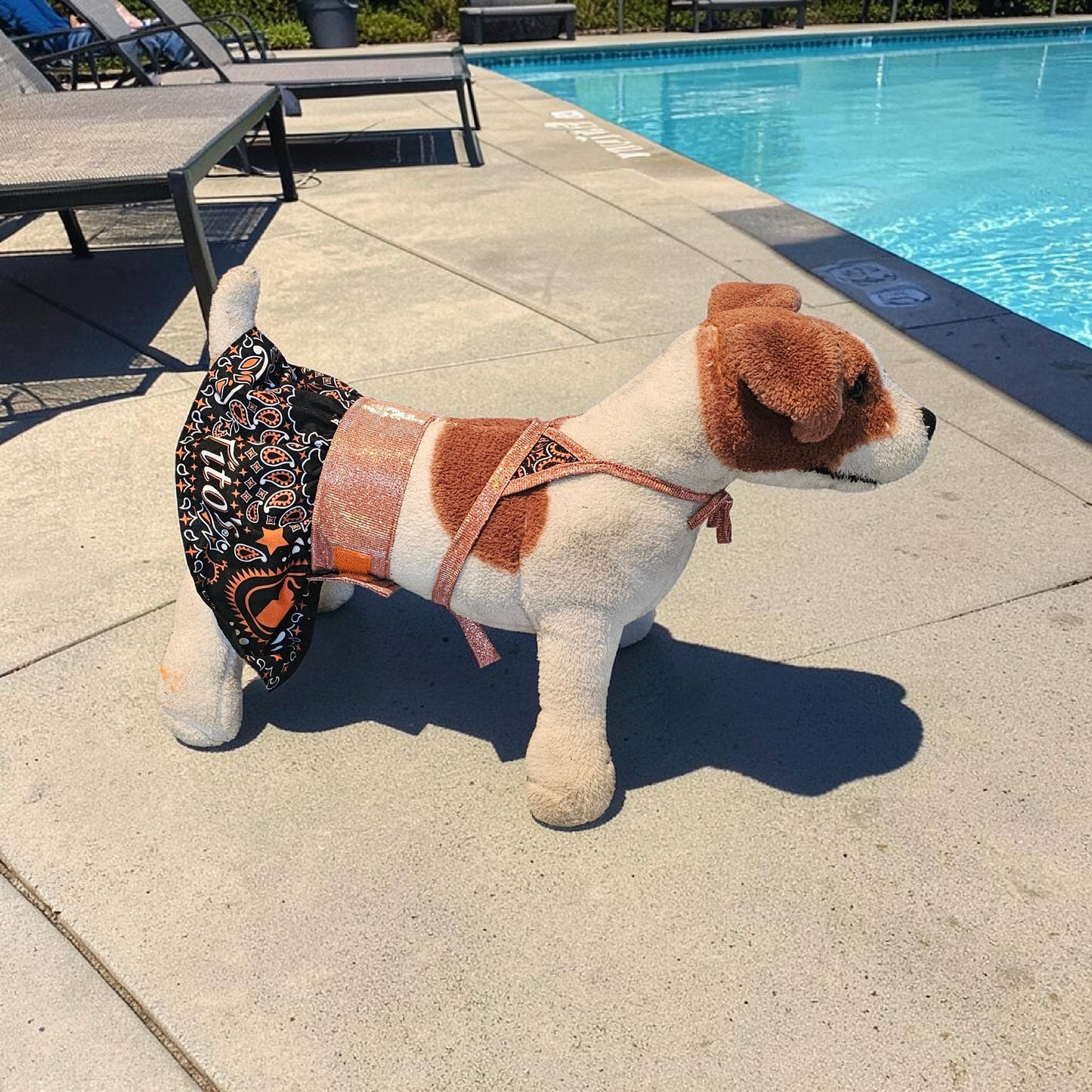 Tito's pet bathing suit, custom pet bathing suit, dog swimsuit