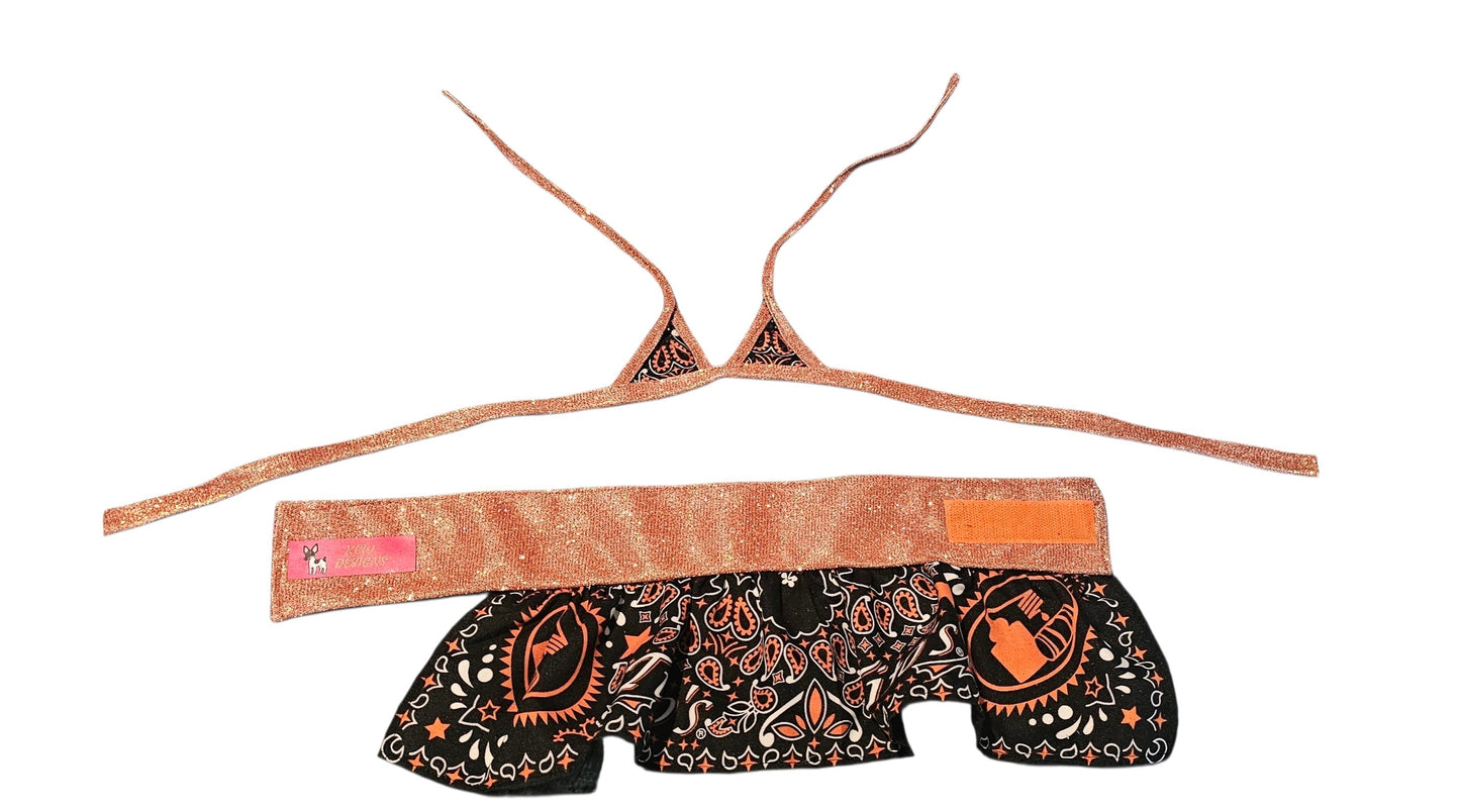 Tito's pet bathing suit, custom pet bathing suit, dog swimsuit