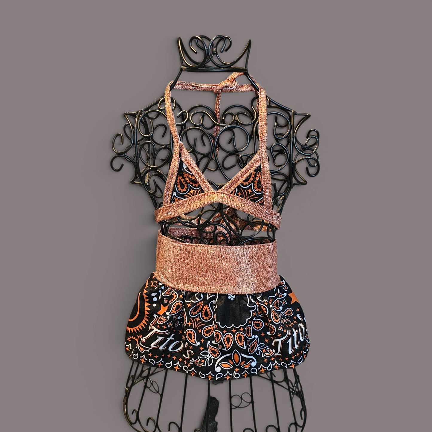 Tito's pet bathing suit, custom pet bathing suit, dog swimsuit
