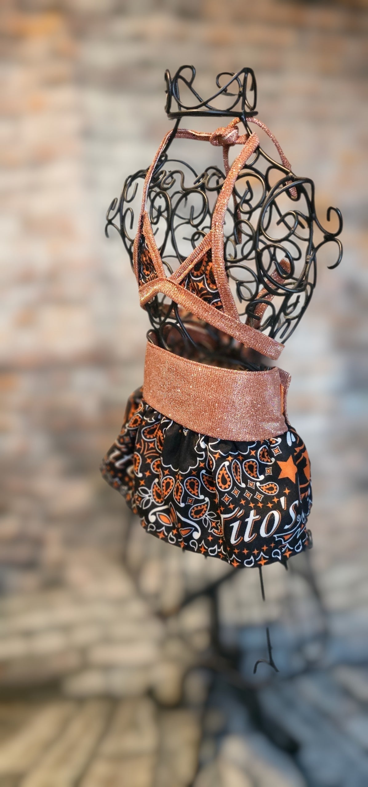 Tito's pet bathing suit, custom pet bathing suit, dog swimsuit