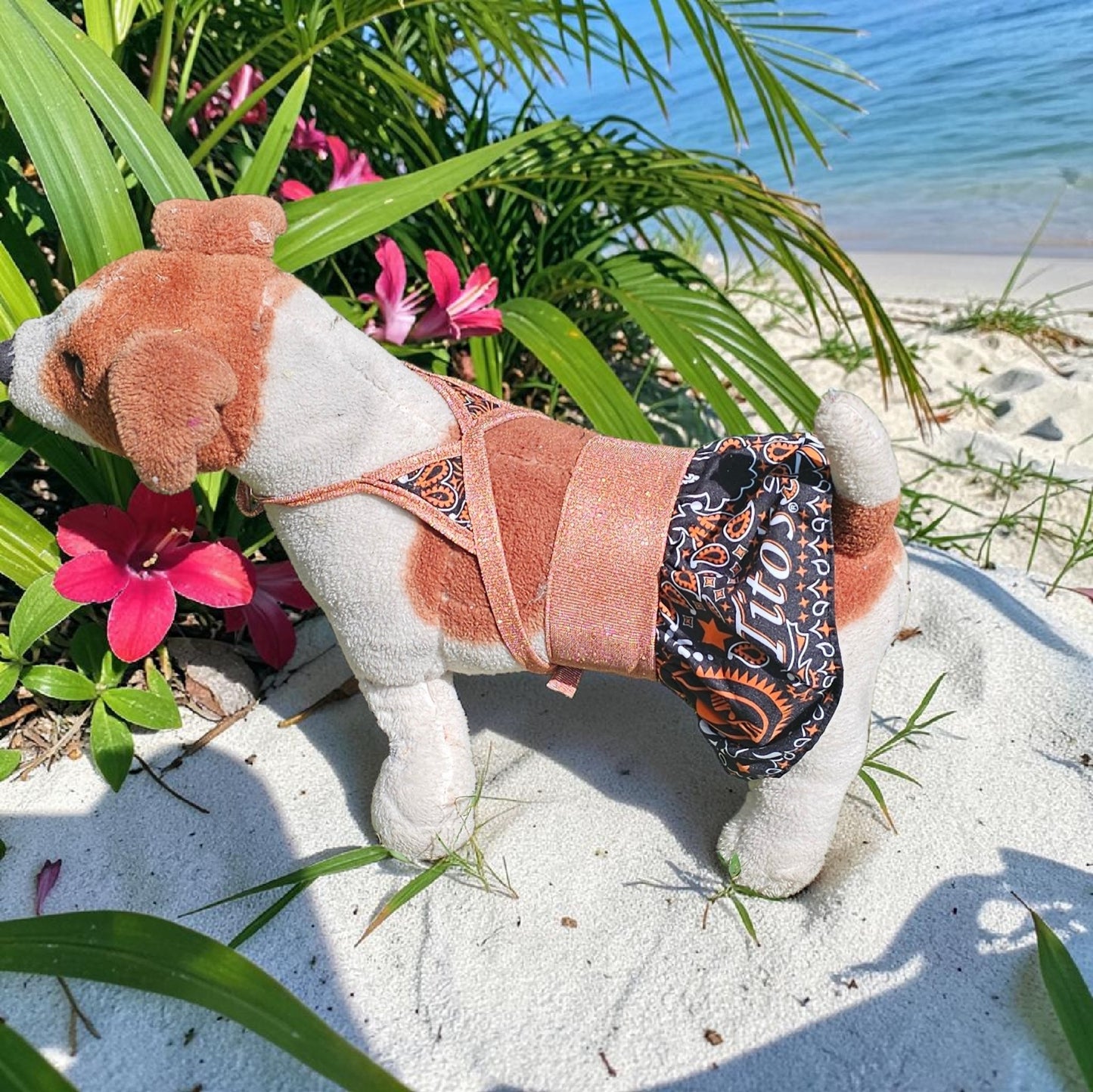 Tito's pet bathing suit, custom pet bathing suit, dog swimsuit