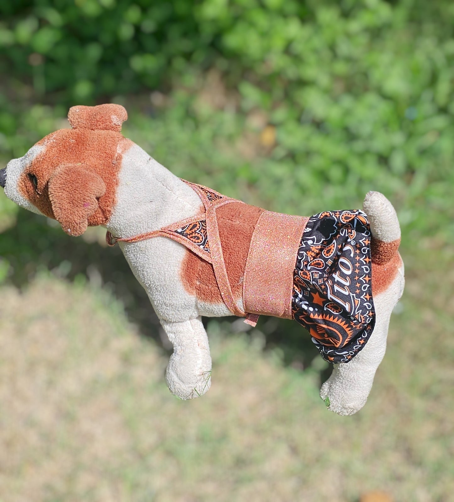 Tito's pet bathing suit, custom pet bathing suit, dog swimsuit