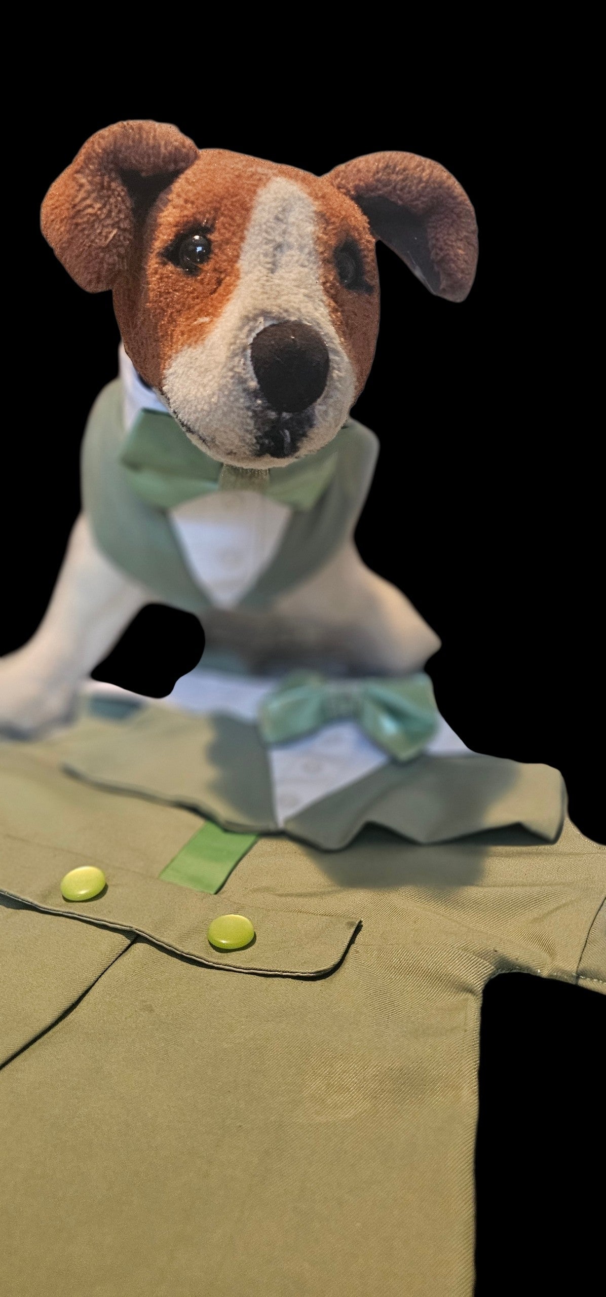 Pet wedding tuxedo costume, vest and bow-tie bandana set for pets
