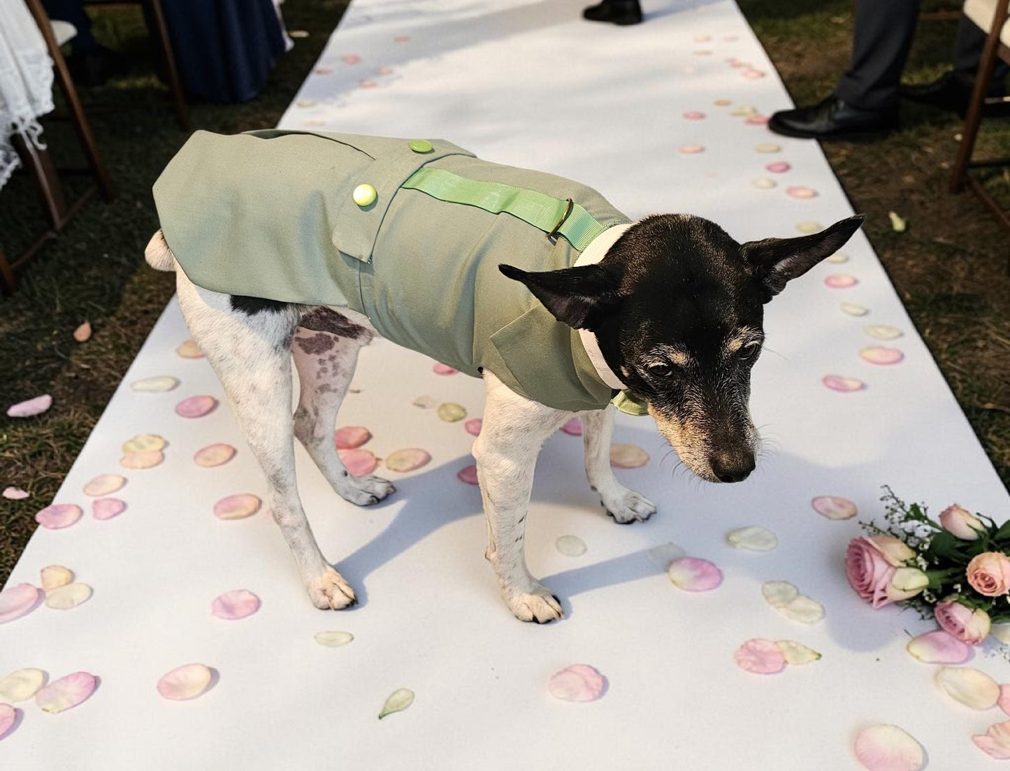 Pet wedding tuxedo costume, vest and bow-tie bandana set for pets