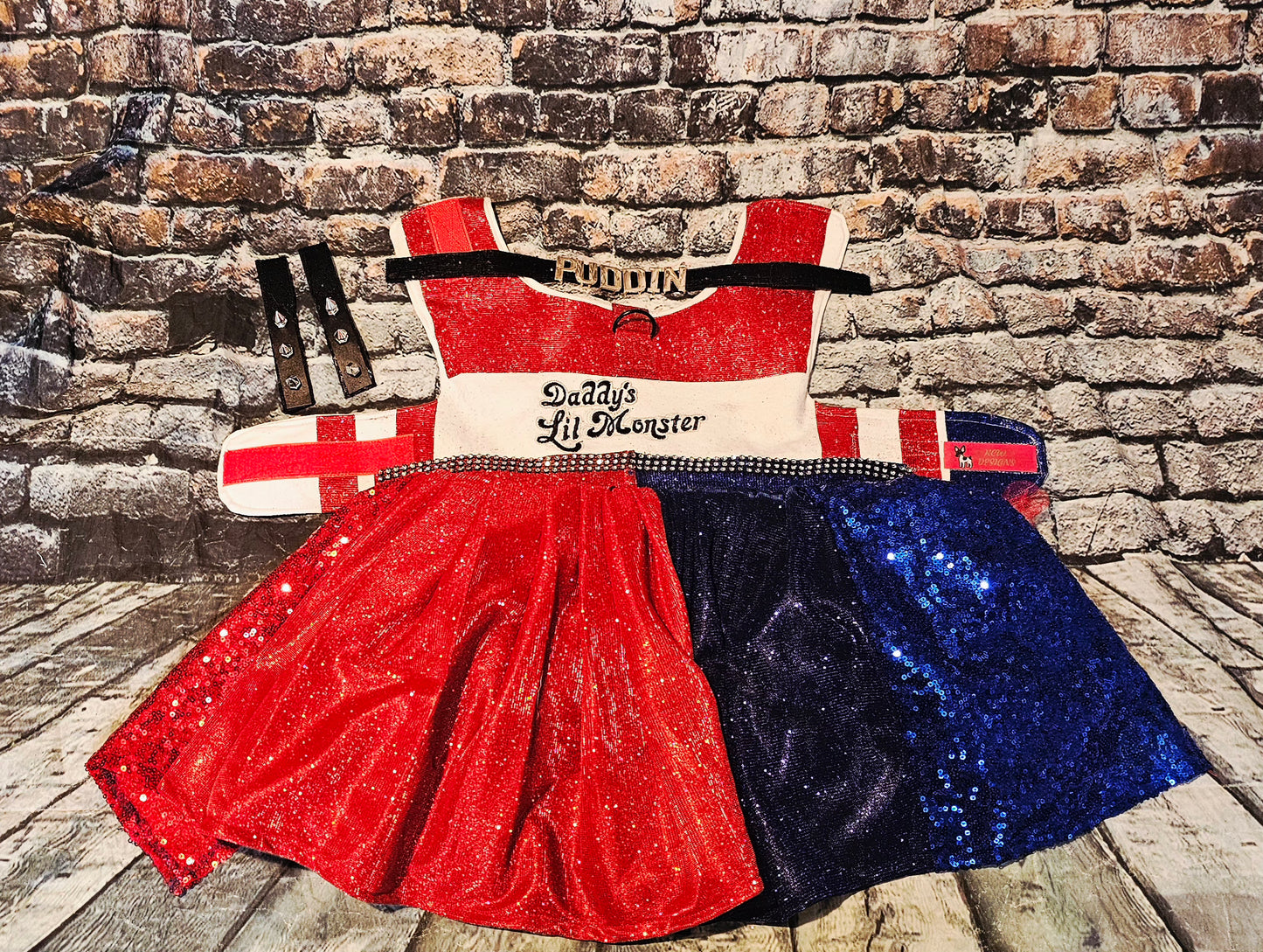 Harley Quinn pet costume, Harley Quinn dog costume