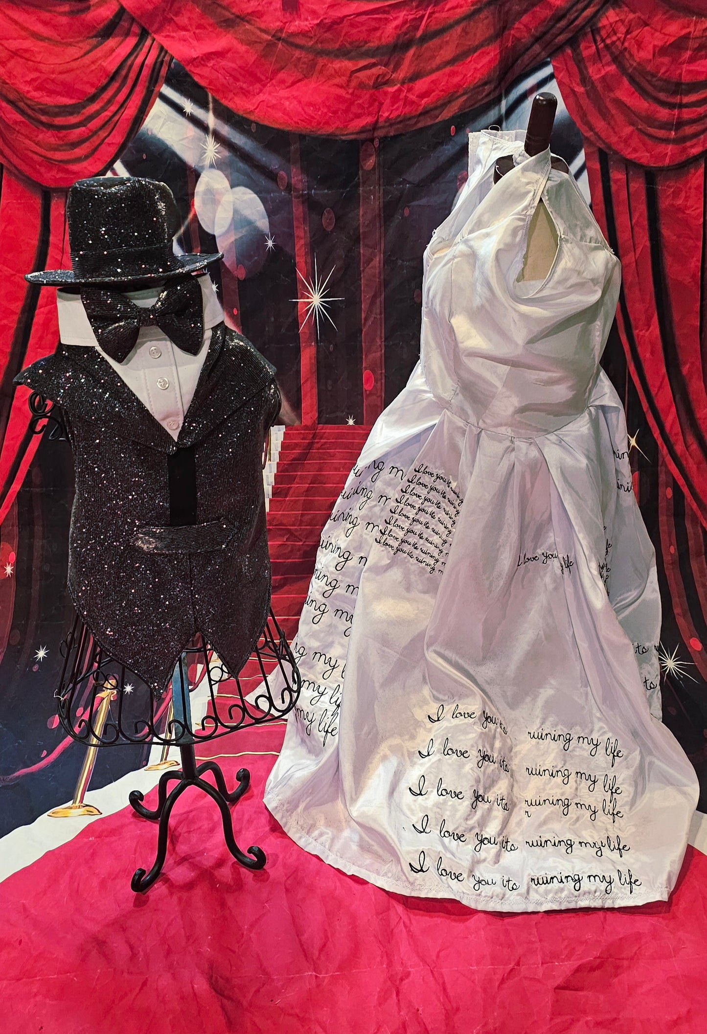 Glitter pet vest and top hat, Pet suit and top hat